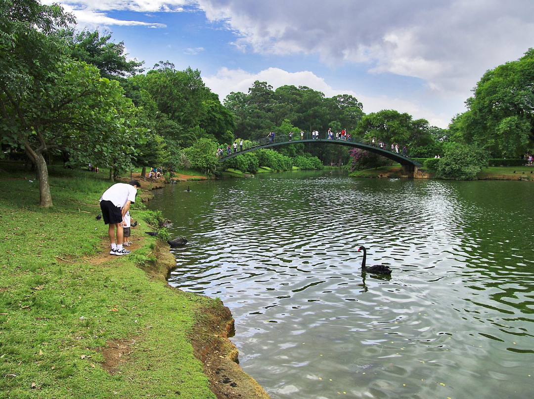伊比拉布维拉公园-圣保罗必去景点