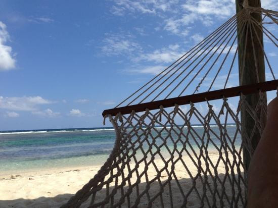 The Bat's Cave-Cayman Brac必去景点