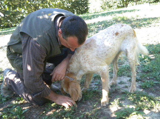 Albaway-阿尔巴必去景点