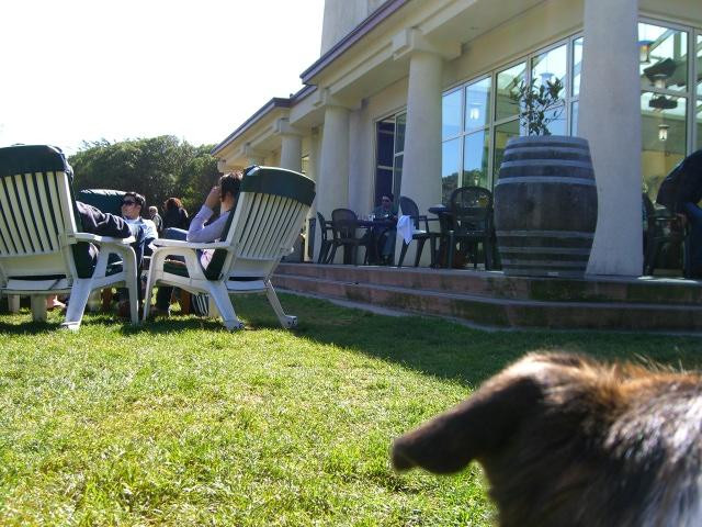 海滩度假屋-旧金山必去景点