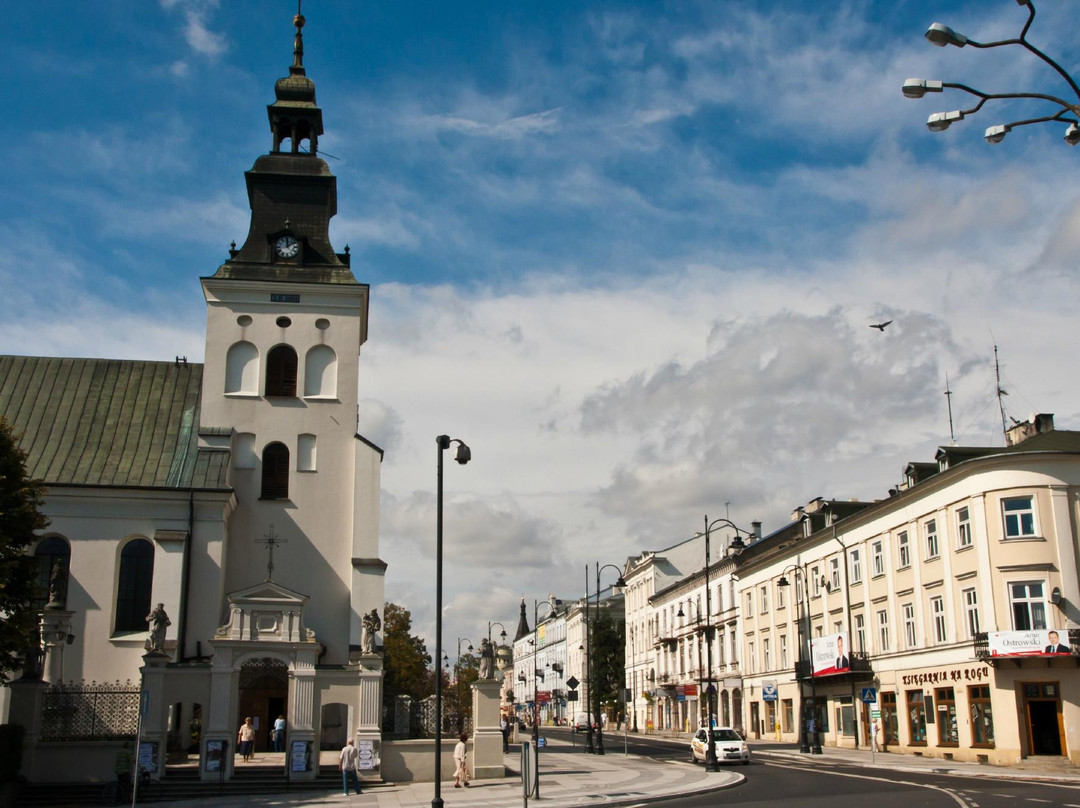 Piotrkow Old Town景点图片