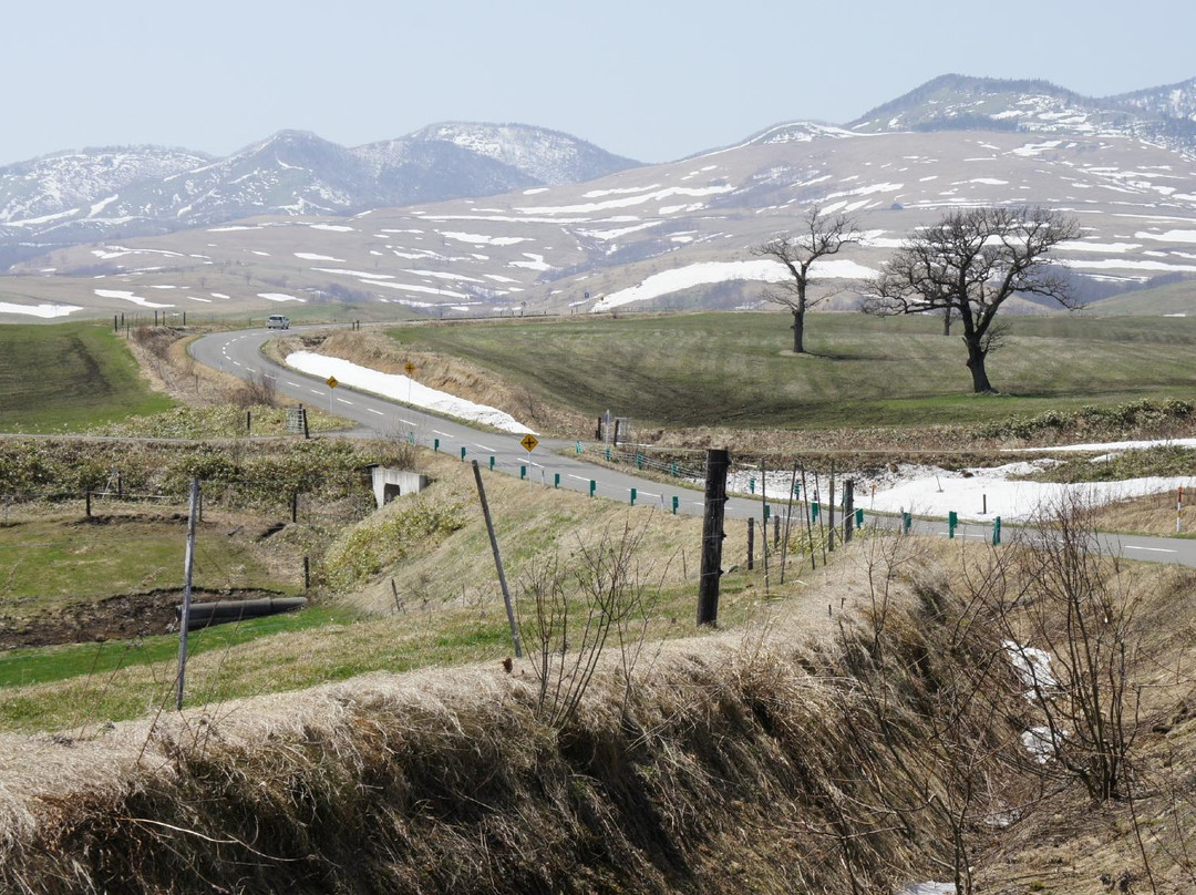 Naitai Kogen Farm-上士幌町必去景点
