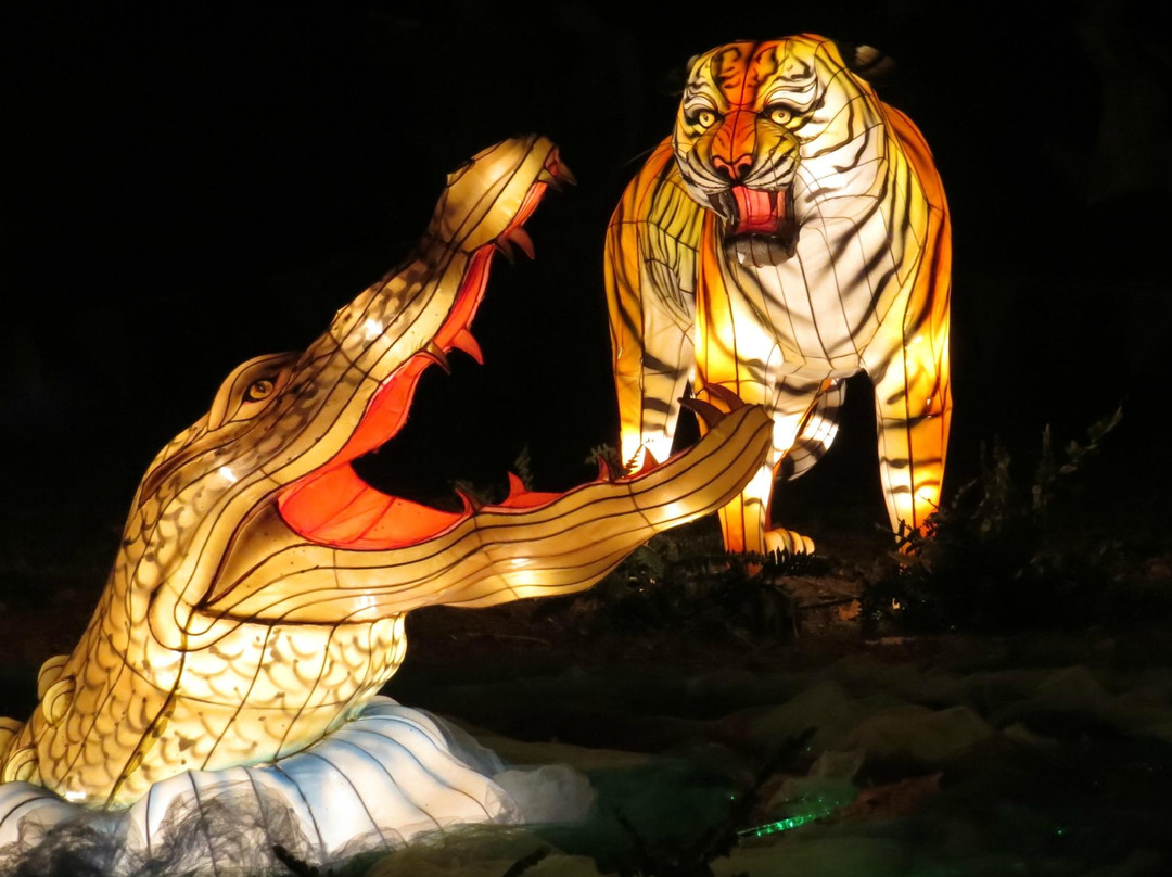 阿尔伯特王子国家公园-奥克兰中心地区必去景点