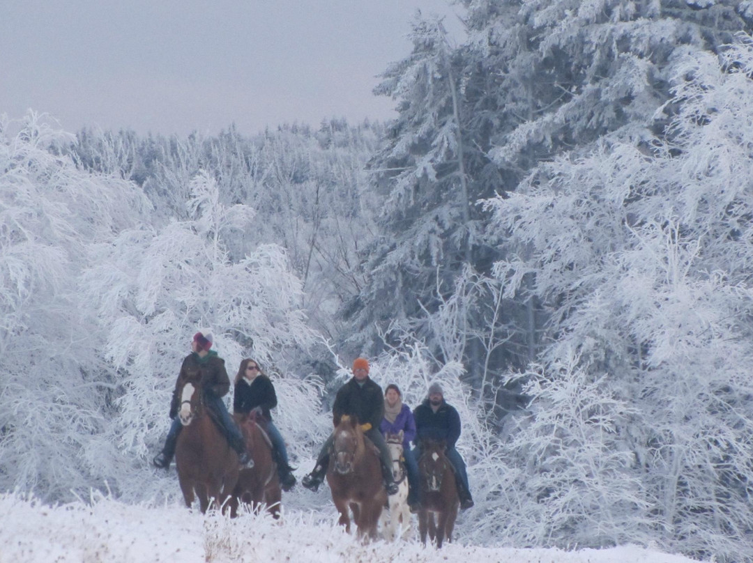 Cheat Mountain Stables-雪鞋山必去景点