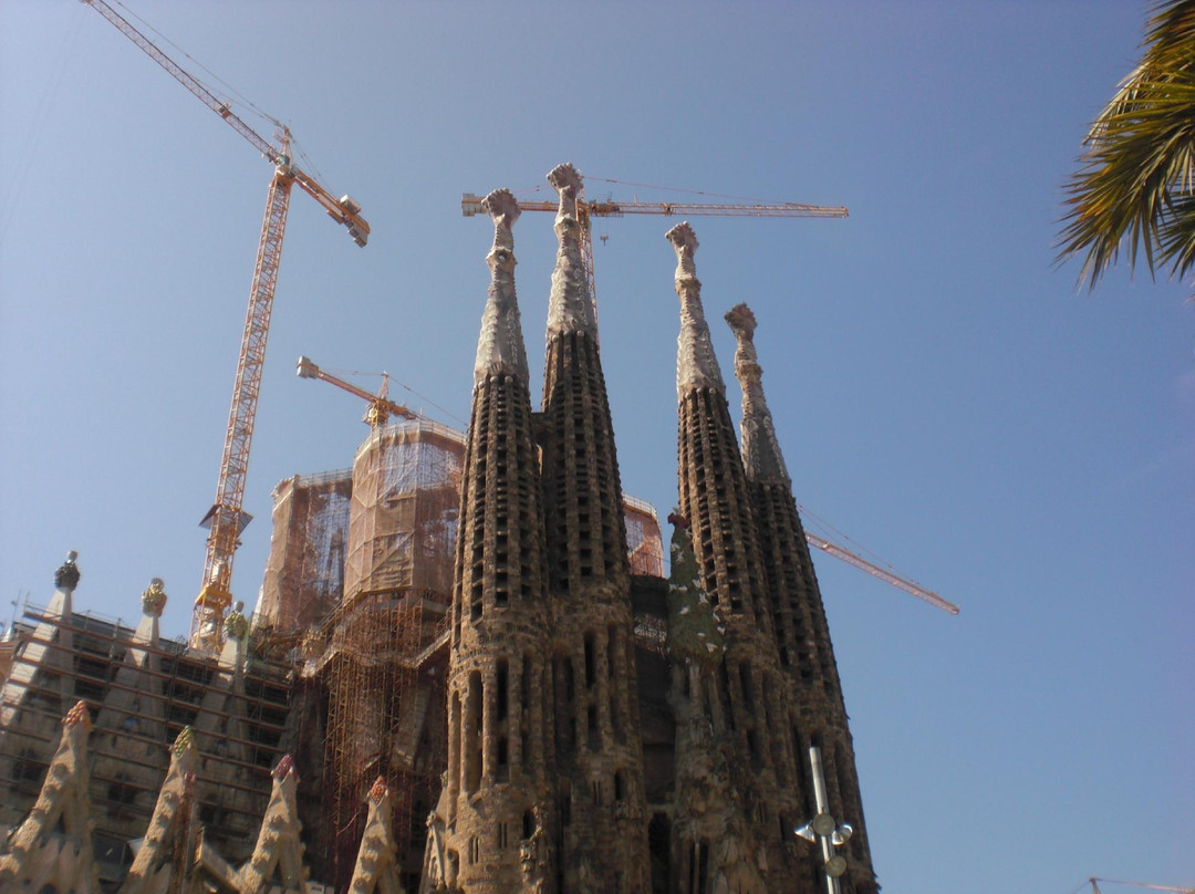 Tour Me Out Barcelona-巴塞罗那必去景点