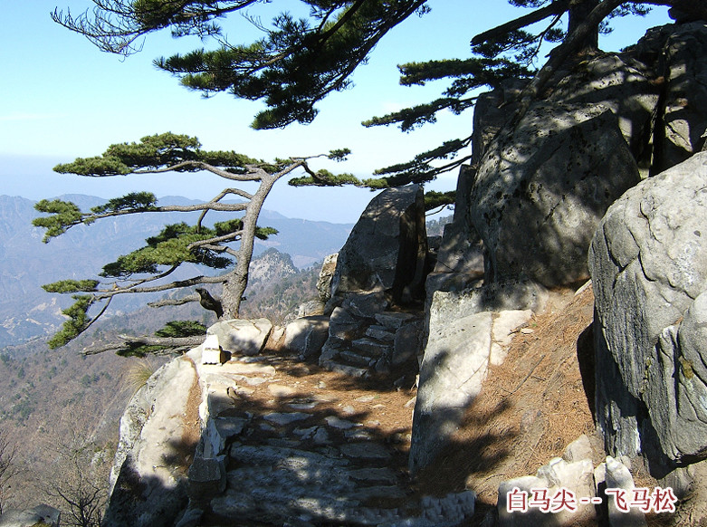 白马尖-霍山县必去景点