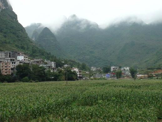 巴马长寿村景点图片