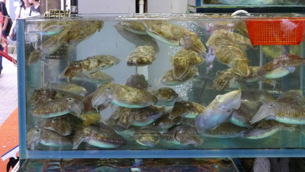 西贡海鲜街-香港必去景点