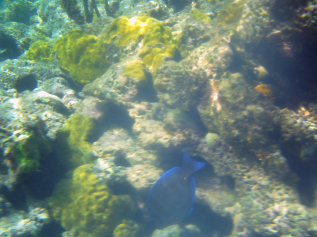 Long Bay-安提瓜必去景点