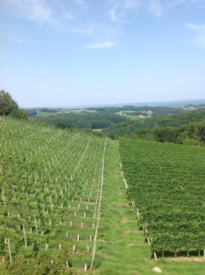 Bauernhof Weingut Tinnauer-酒店景观