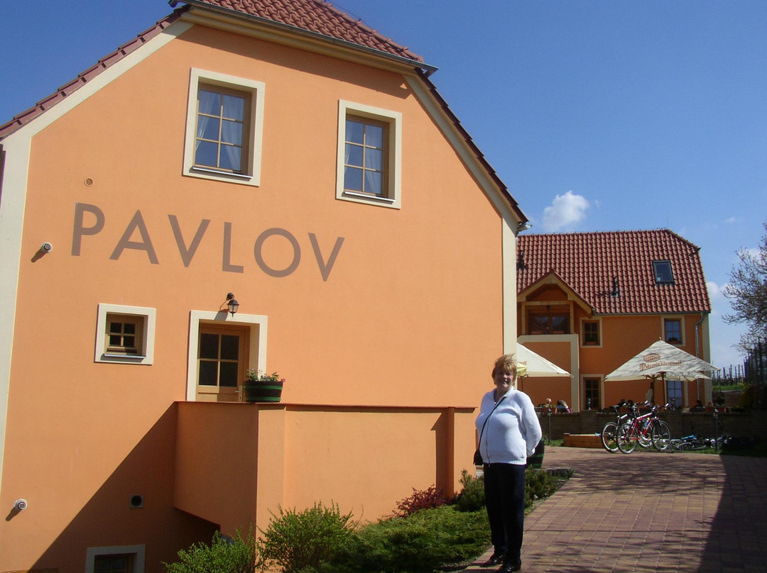 Pavlov旅游攻略图片