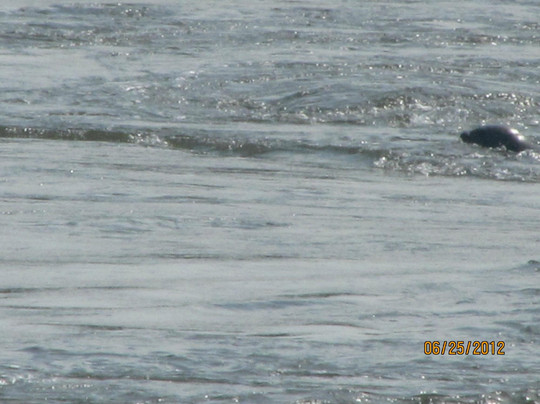 Roy's Tours-圣约翰必去景点