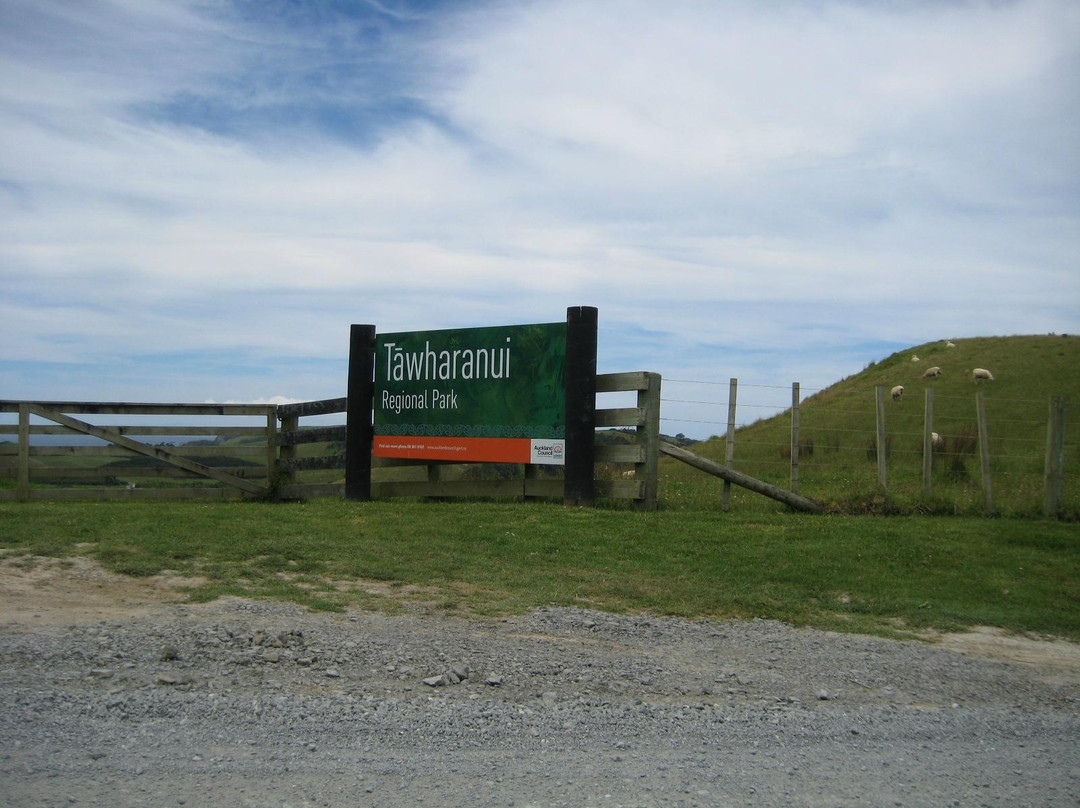 Tawharanui Regional Park-瓦卡沃夫必去景点