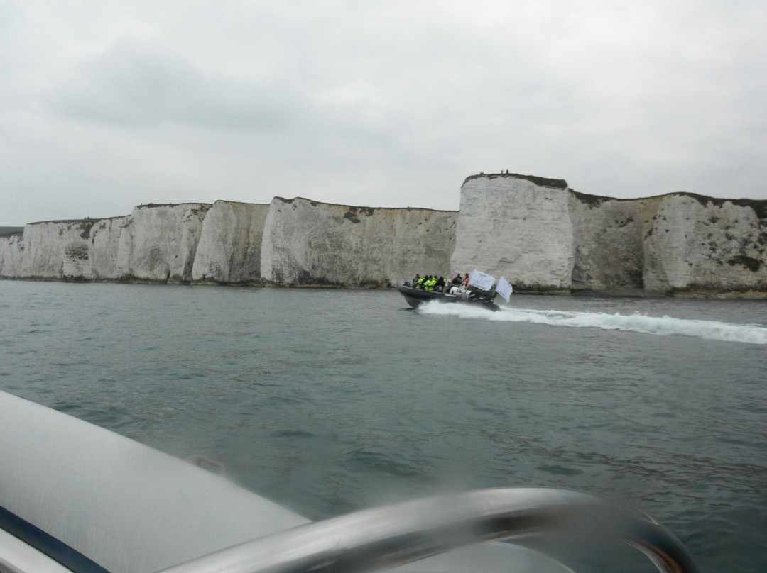 Poole Sea Safari-普尔必去景点
