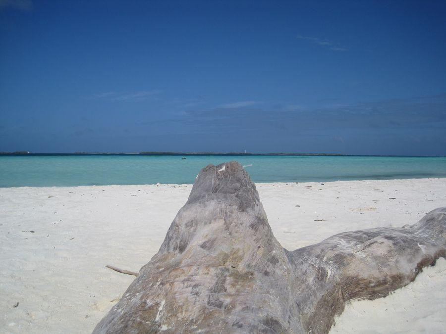 Cayo Fabian景点图片