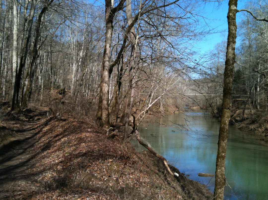 Daniel Boone National Forest-Winchester必去景点