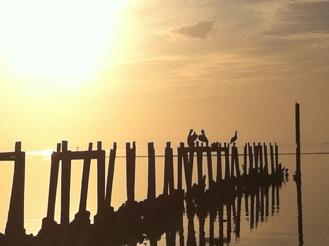 St. Marks Lighthouse-塔拉哈西必去景点