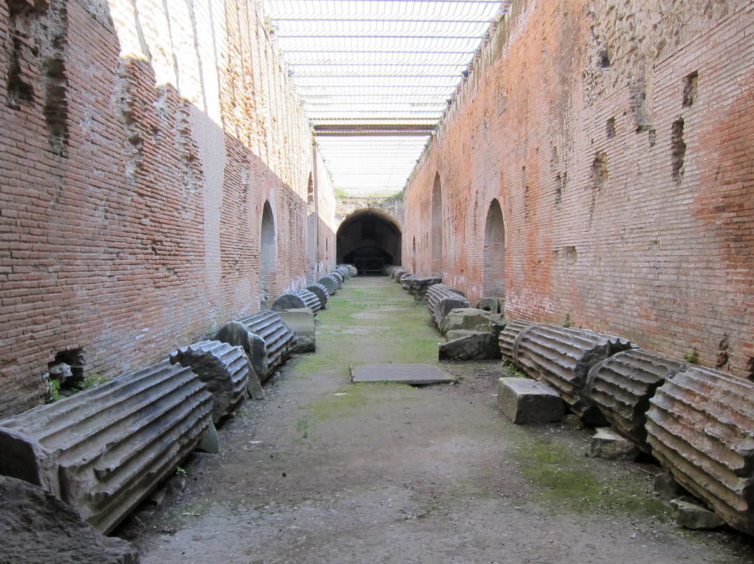 Flavian Amphitheater景点图片