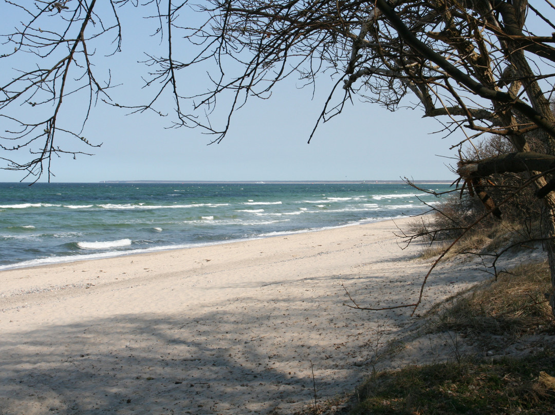 Landhotel Ostseetraum & Ferienwohnungen主图