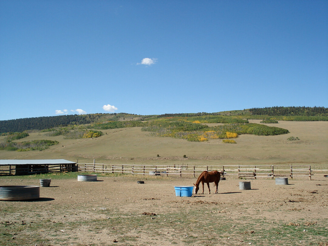 American Safari Ranch-Fairplay必去景点