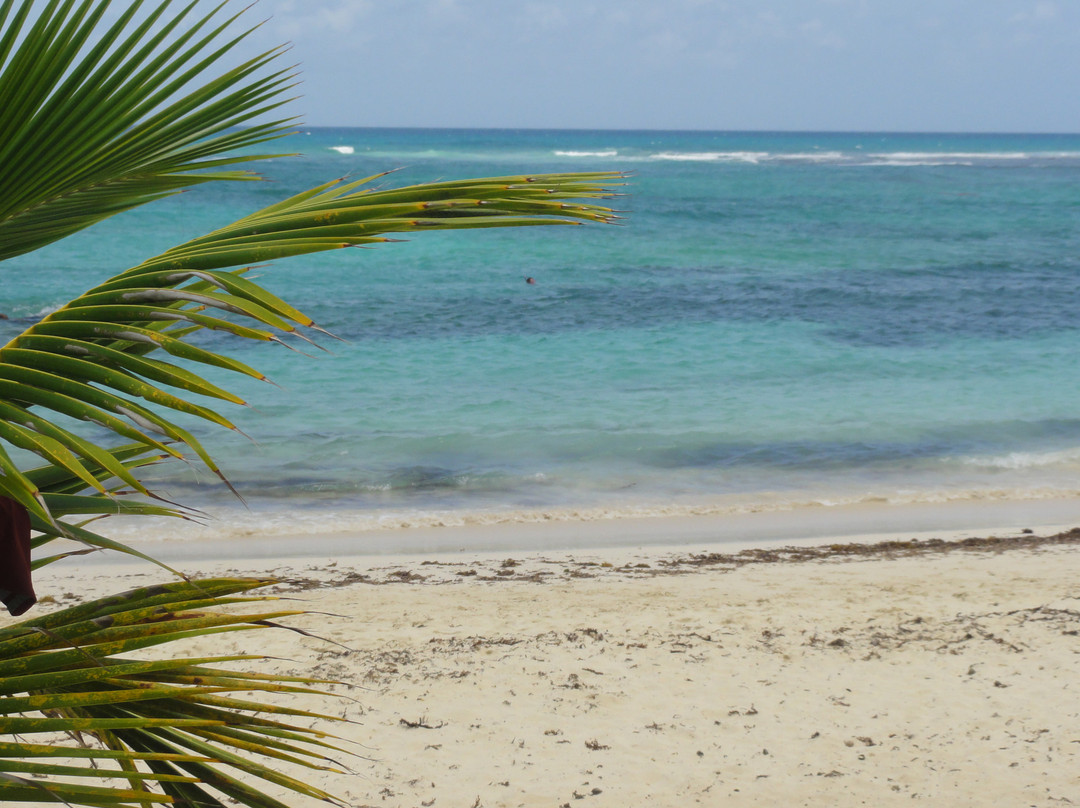Plage des Raisins Clairs-Saint Francois必去景点