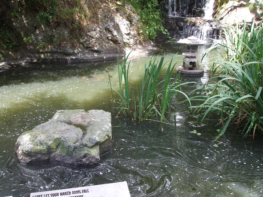 惠灵顿植物园景点图片
