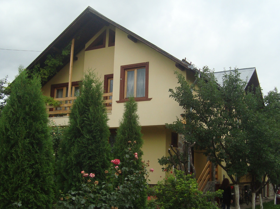 Cobwobs Hostel