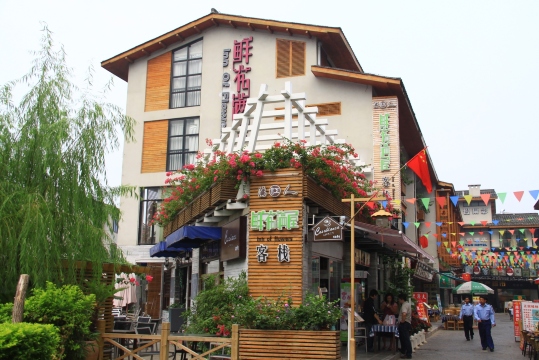 鲜花满屋客栈-客卧