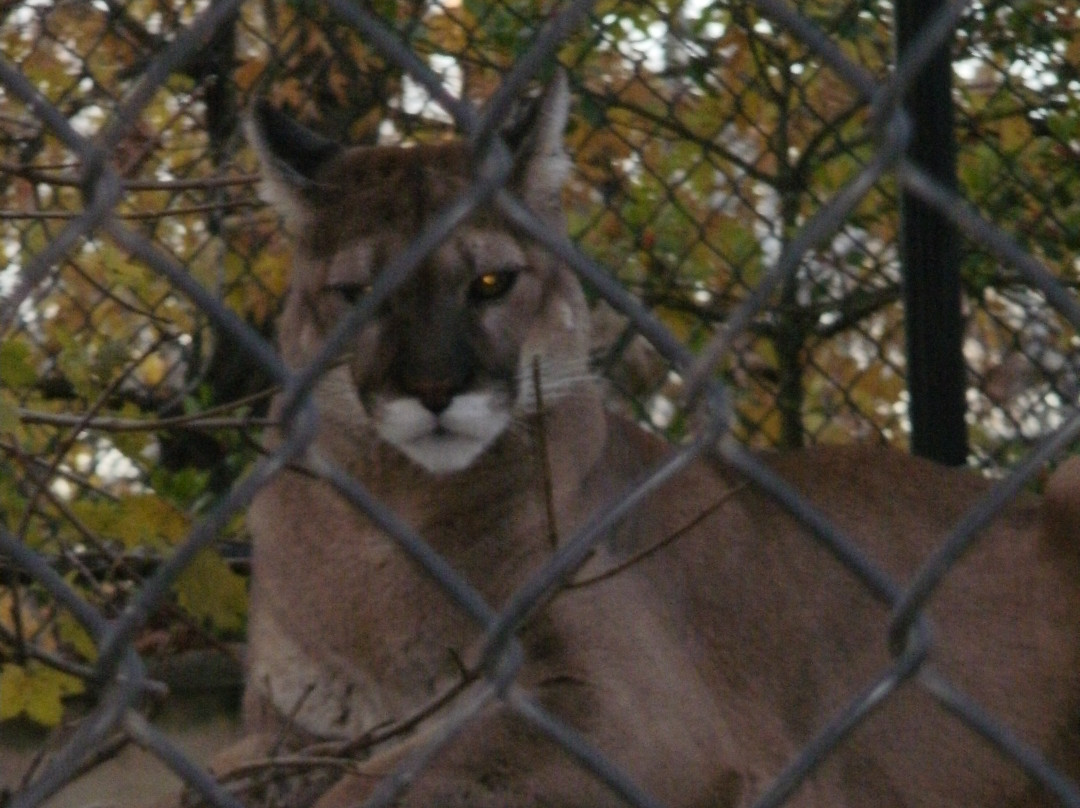 Elmwood Park Zoo-Norristown必去景点