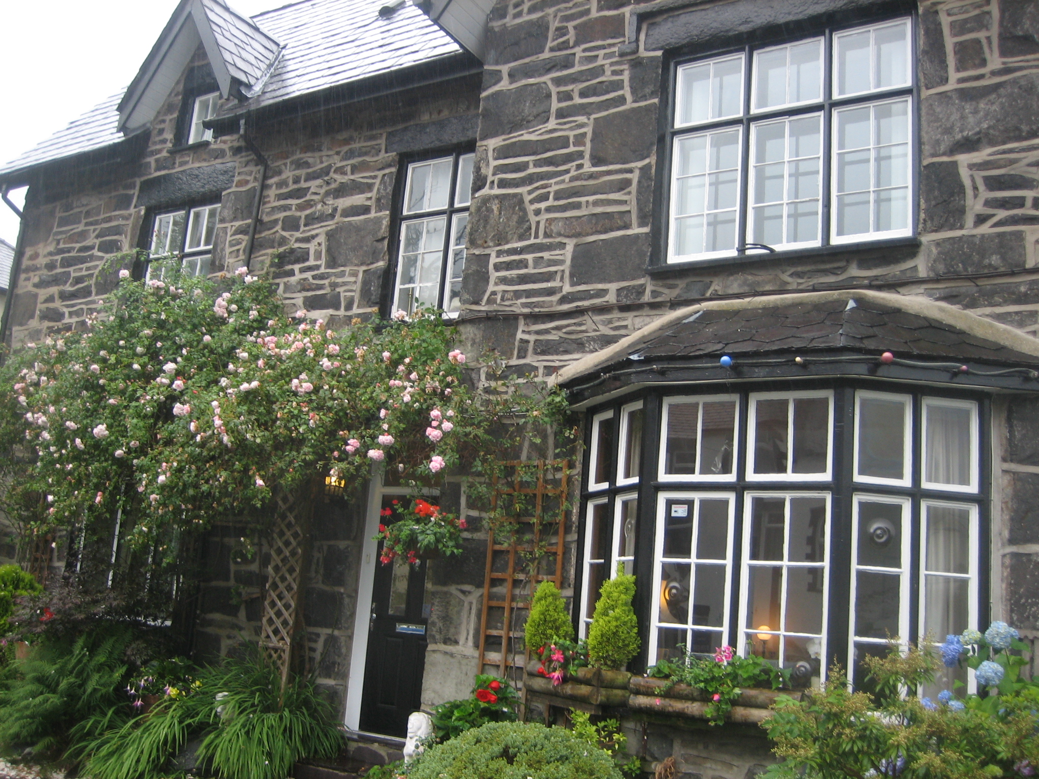 Erw Fair Guest House-客卧