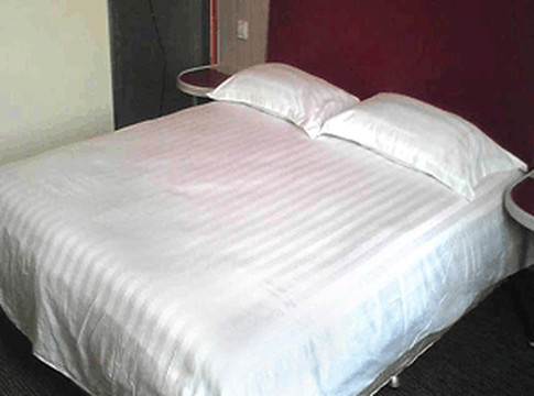 嘉虹酒店(上海国际旅游度假区川沙地铁站店)主图