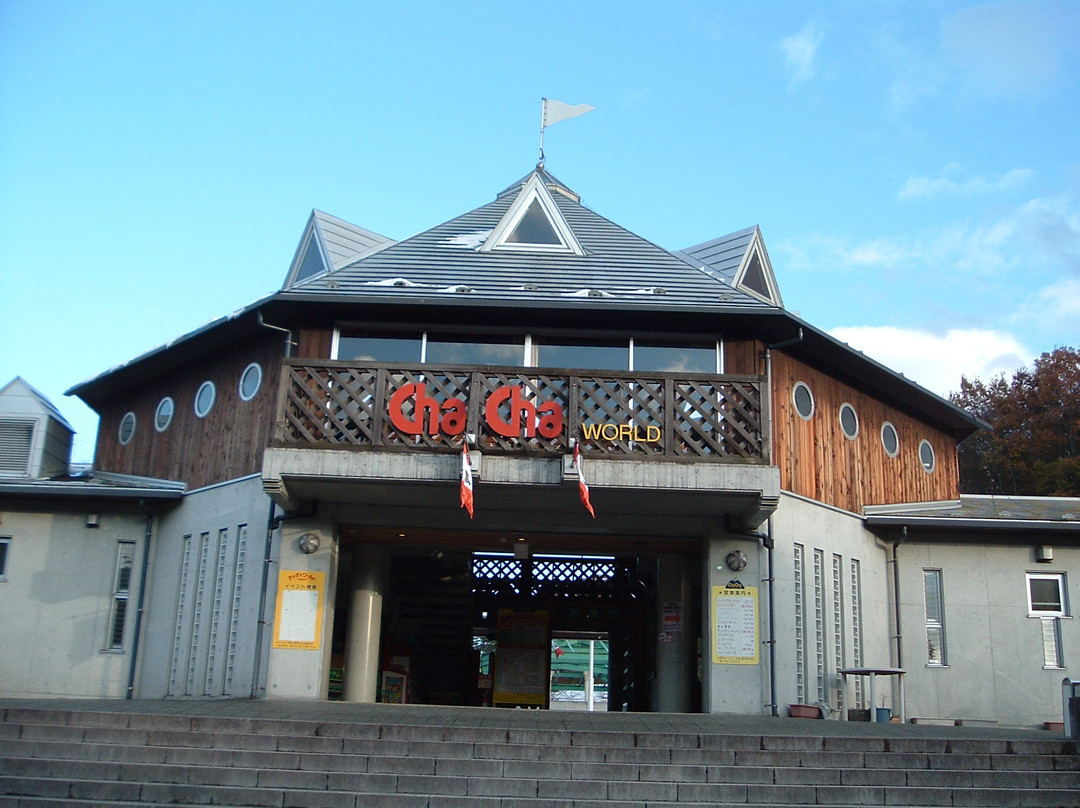 Chacha World Ishikoshi-登米市必去景点