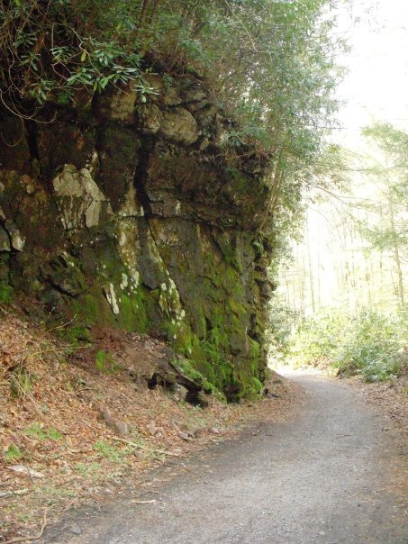 Virginia Creeper Trail-Abingdon必去景点