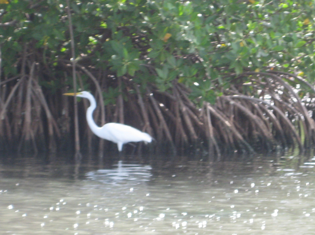 Salt River Bay National Historical Park and Ecological Preserve-Christiansted必去景点