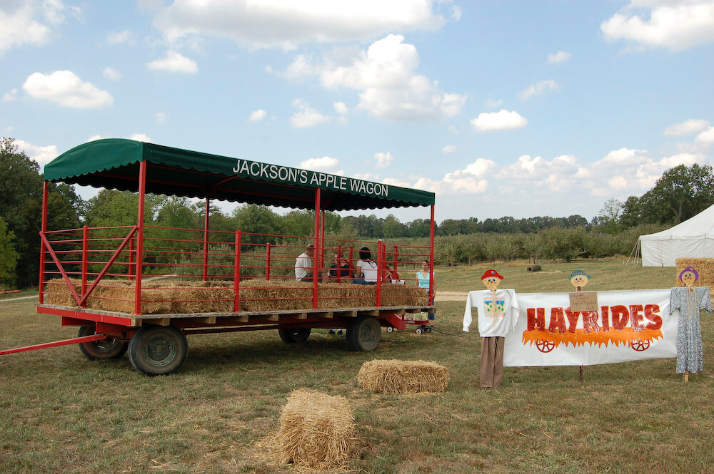 Jackson's Orchard & Nursery-鲍灵格林必去景点