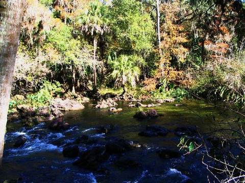 Hillsborough River State Park-Thonotosassa必去景点