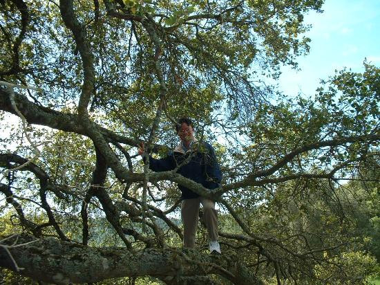 Henry W. Coe State Park-摩根希尔必去景点