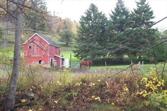 Green River Inn主图