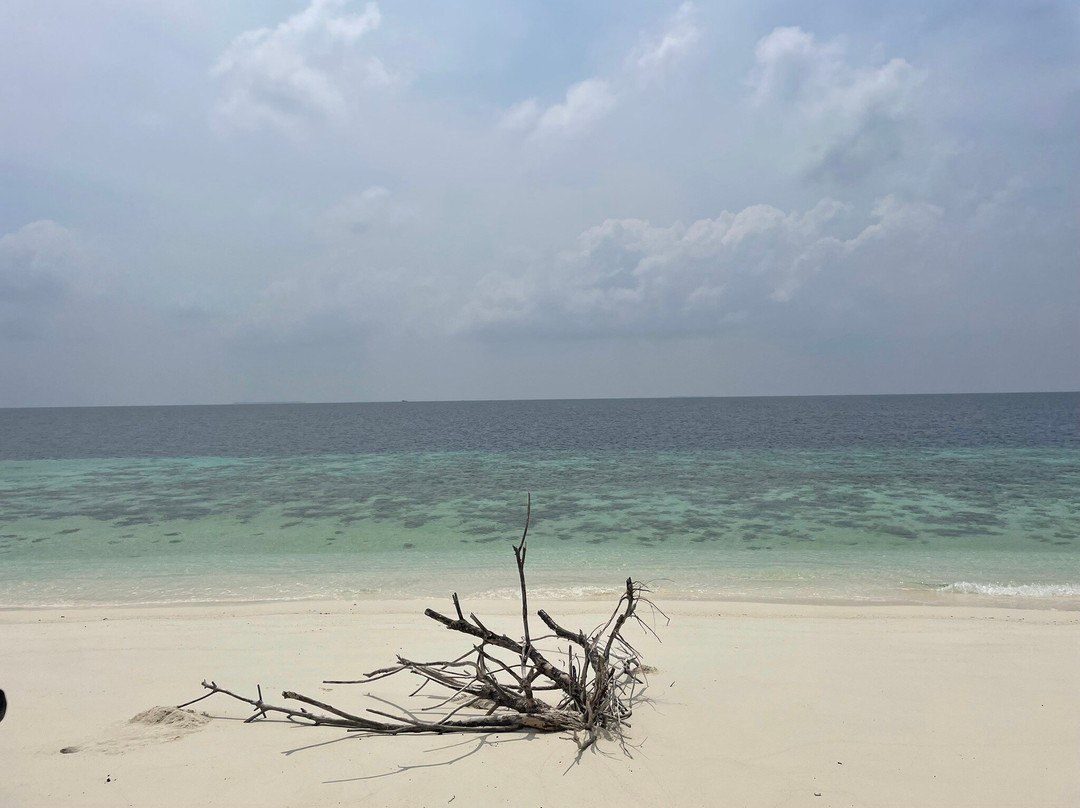 Local Island Inn主图