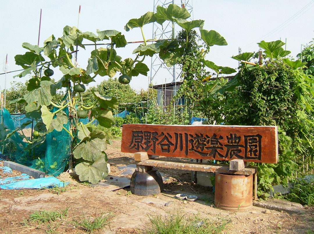 Haranoyakawarayuraku Park景点图片