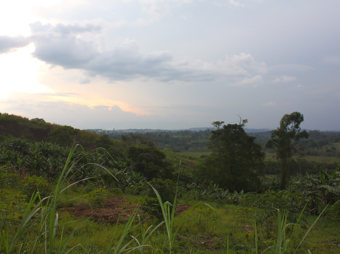 Bigodi Wetlands Sanctuary景点图片