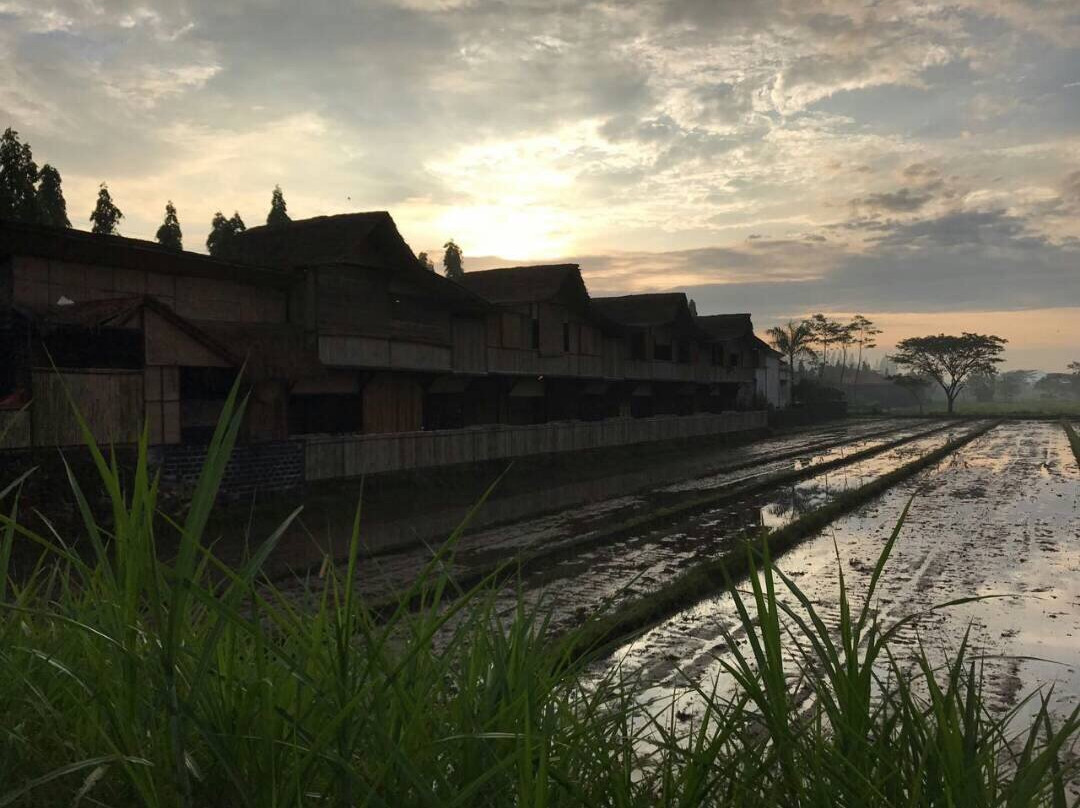 Wates旅游攻略图片