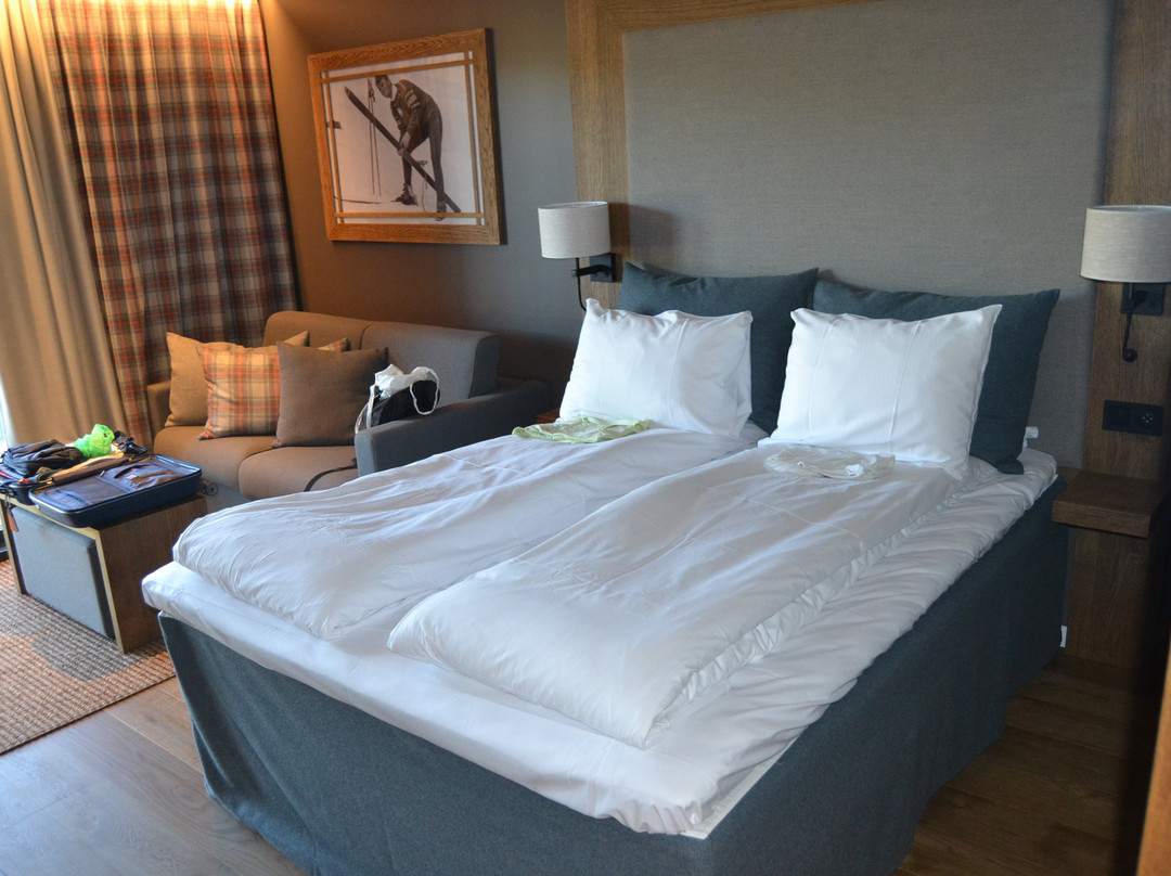 Geilo Hotel主图