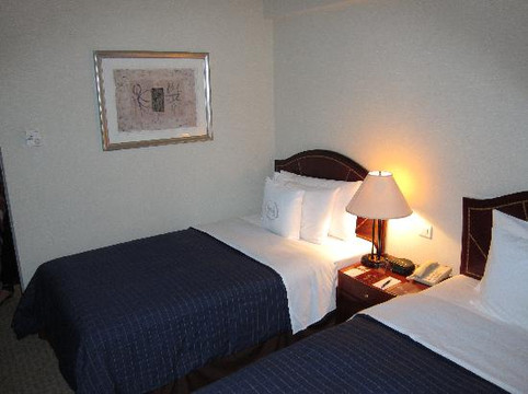 成都天府丽都喜来登饭店（天府广场店）主图