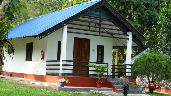 Dhanshree Resort主图