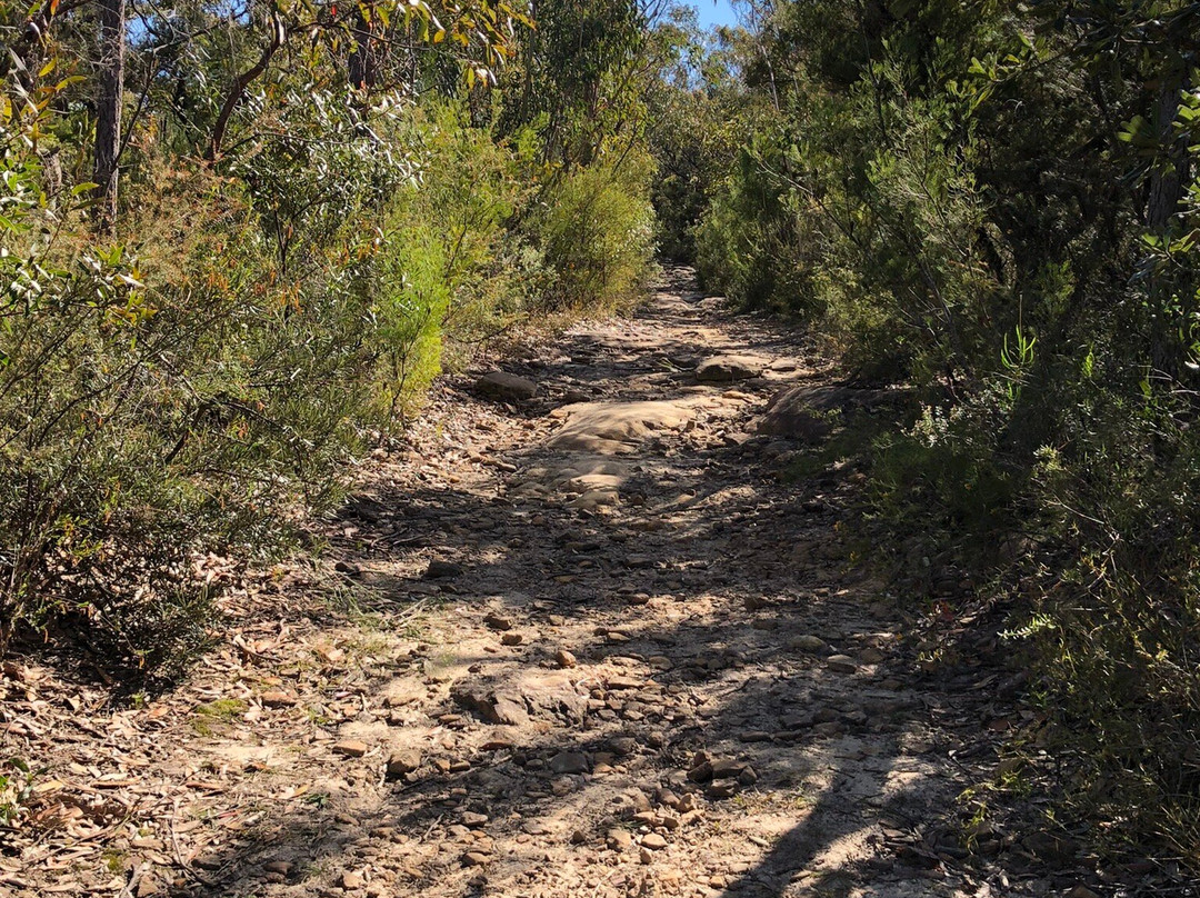 Shirlow Road Fire Trail景点图片