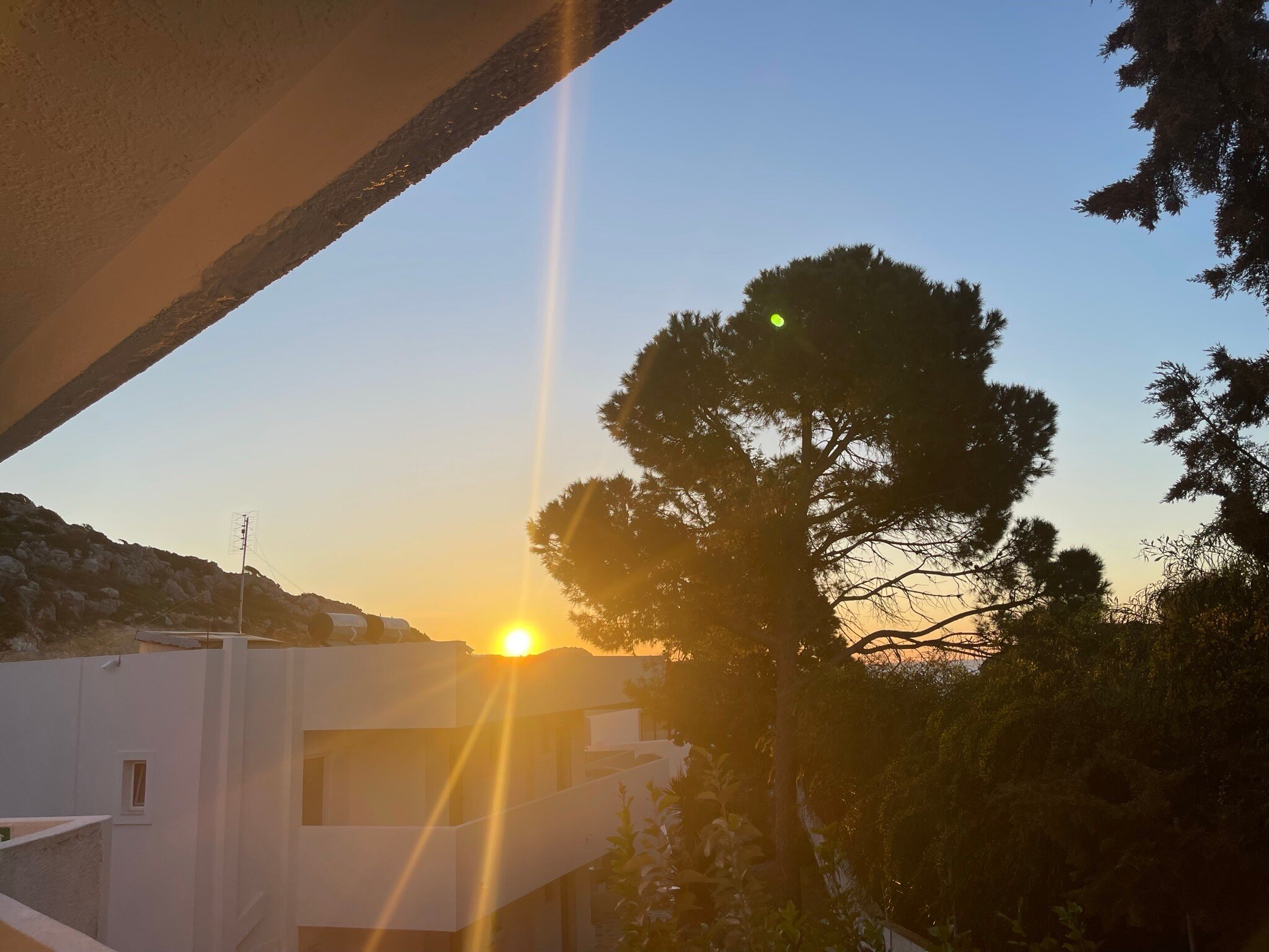 Ladikos Garden-官方