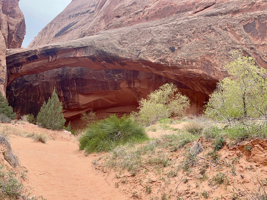 Grandstaff Canyon Trail-莫阿布必去景点