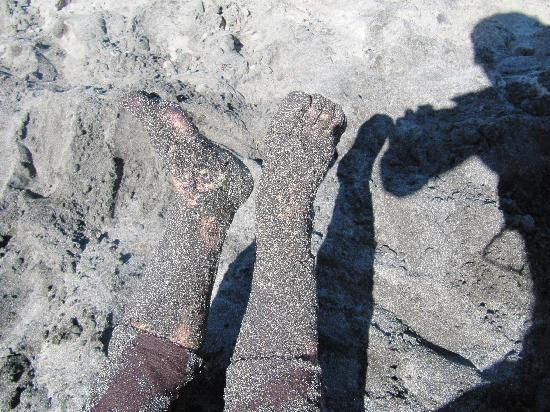 Playa El Tecolote (Tecolote Beach)景点图片