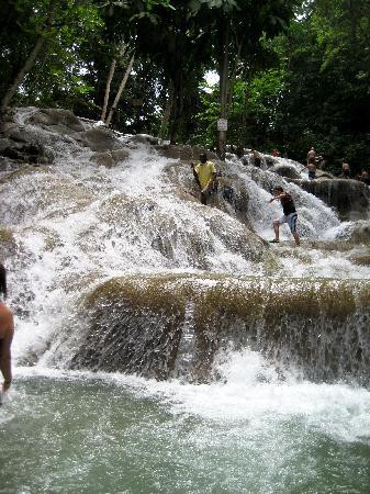 Dunn's River Falls and Park景点图片